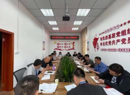 公司三支部召開黨員大會暨“形式主義、官僚主義”集中整治工作會