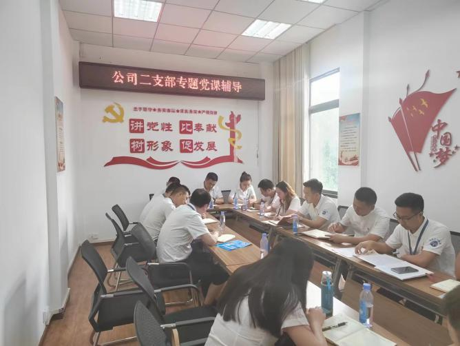 公司二支部開展“齊力共進(jìn)、強(qiáng)企有我” 主題黨日活動(dòng)