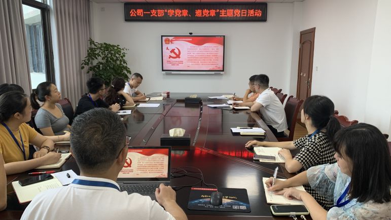 清源水務(wù)公司黨委組織開(kāi)展“學(xué)黨章、遵黨章”系列主題黨日活動(dòng)